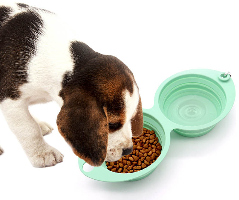 dog travel bowl